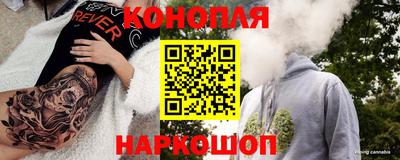 сатива Камышлов
