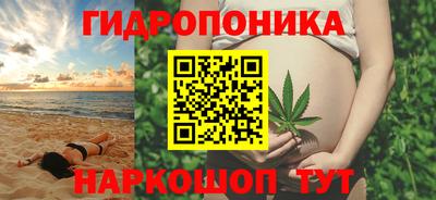 сатива Камышлов