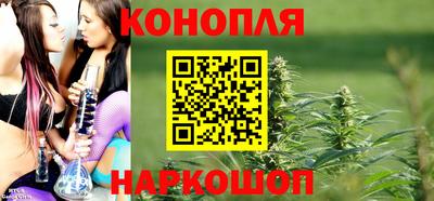 сатива Камышлов
