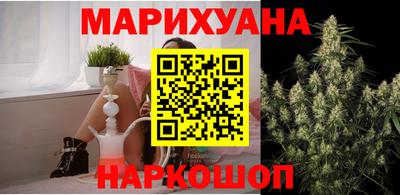 сатива Камышлов