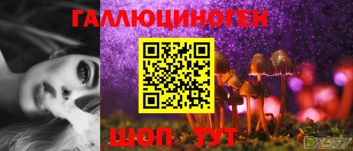 Биробиджан  Галлюциногенные грибы MAGIC MUSHROOMS  Вход с VPN 