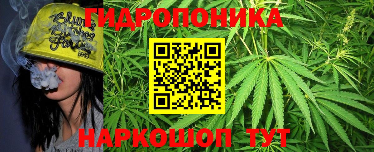 Шишки марихуана семена  Марихуана Ganja  Бошки марихуана марихуана  Биробиджан  Вход с VPN 